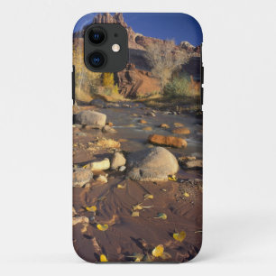CAPITOL REEF NATIONAAL PARK, UT, US, Cottonwood iPhone 11 Hoesje
