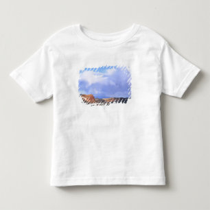 Capitol Reef National Park, Utah. VS. Cumulus Kinder Shirts