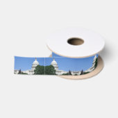 Capitoolgebouw in Washington DC Lint (Spoel)