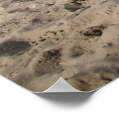 Capo von Oppenheim, Jack Russell Dog Poster (Hoek)