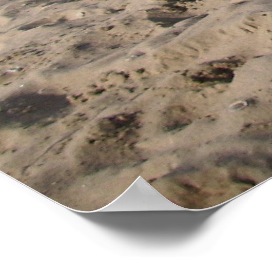 Capo von Oppenheim, Jack Russell Dog Poster (Hoek)