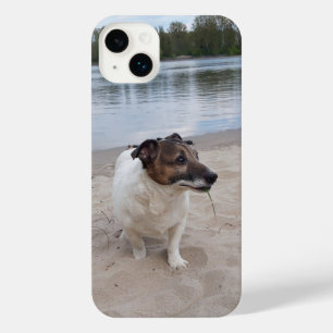 Capo von Oppenheim, Jack Russell Terrier Chien