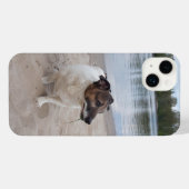 Capo von Oppenheim, Jack Russell Terrier Chien (Verso Horizontal)