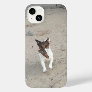Capo von Oppenheim, Jack Russell Terrier Chien