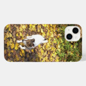 Capo von Oppenheim, Jack Russell Terrier Chien (Verso Horizontal)