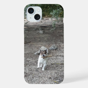 Capo von Oppenheim, Jack Russell Terrier Chien