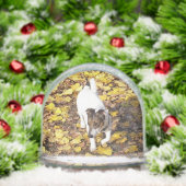 Capo von Oppenheim, Jack Russell Terrier Dog (Noël)