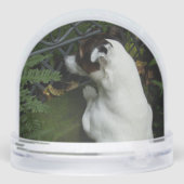 Capo von Oppenheim, Jack Russell Terrier Dog (Arrière)