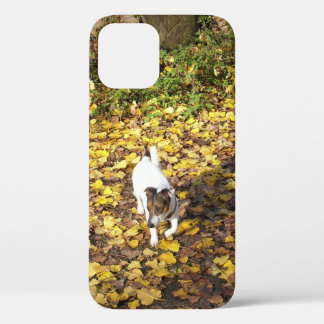 Capo von Oppenheim, Jack Russell Terrier Dog iPhone 12 Hoesje