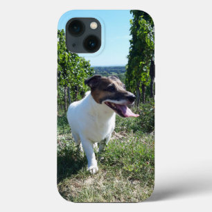 Capo von Oppenheim Jack Russell Terrier, Dog iPhone 13 Hoesje