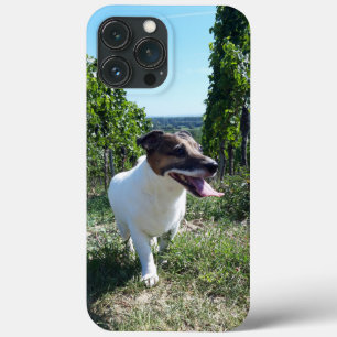 Capo von Oppenheim Jack Russell Terrier, Dog iPhone 13 Pro Max Hoesje