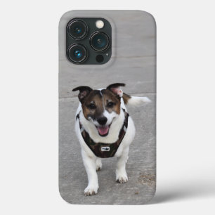 Capo von Oppenheim, Jack Russell Terrier Dog iPhone 13 Pro Hoesje
