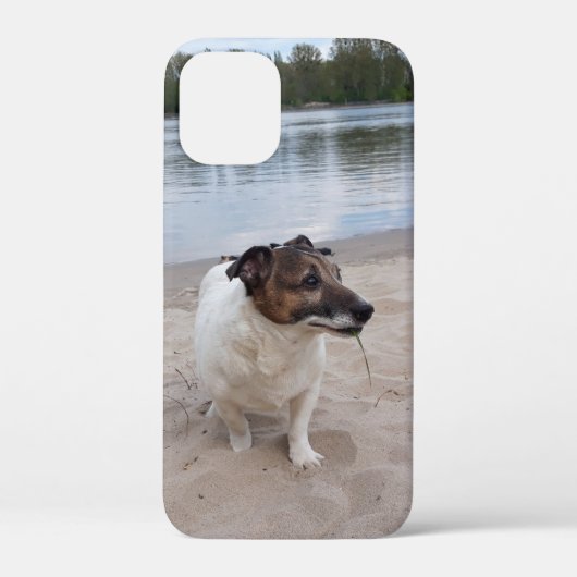 Capo von Oppenheim, Jack Russell Terrier Dog Case-Mate iPhone Case (Achterkant)