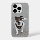 Capo von Oppenheim, Jack Russell Terrier Dog iPhone Hoesje (Achterkant)