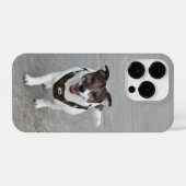 Capo von Oppenheim, Jack Russell Terrier Dog iPhone Hoesje (Achterkant horizontaal)
