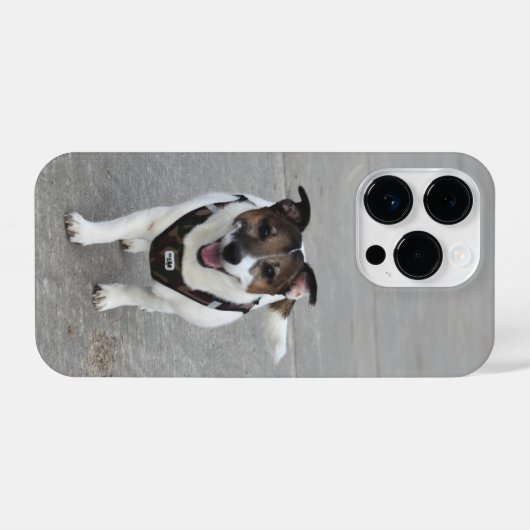 Capo von Oppenheim, Jack Russell Terrier Dog iPhone Hoesje (Achterkant horizontaal)
