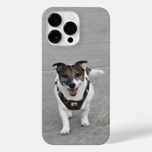 Capo von Oppenheim, Jack Russell Terrier Dog iPhone 14 Pro Max Hoesje