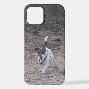 Capo von Oppenheim, Jack Russell Terrier Dog iPhone 12 Hoesje