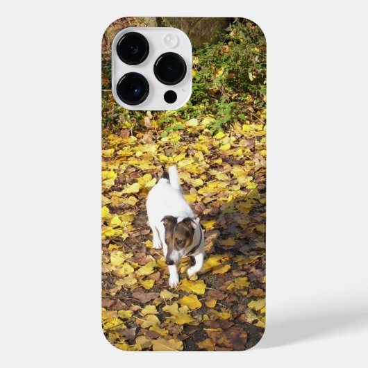 Capo von Oppenheim, Jack Russell Terrier Dog iPhone Hoesje (Achterkant)