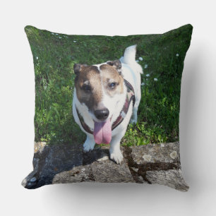 Capo von Oppenheim, Jack Russell Terrier Dog Kussen