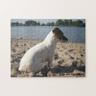 Capo von Oppenheim, Jack Russell Terrier Dog Legpuzzel