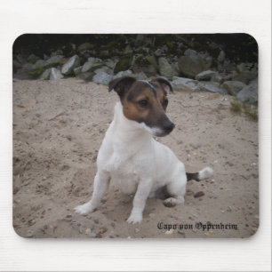 Capo von Oppenheim Jack Russell Terrier, Dog Muismat