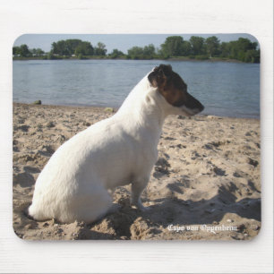 Capo von Oppenheim Jack Russell Terrier, Dog Muismat