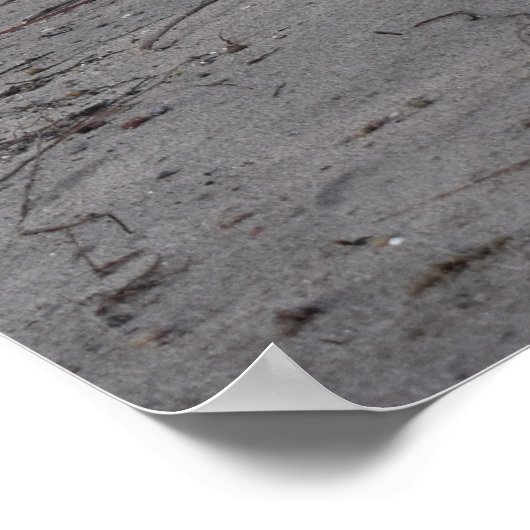 Capo von Oppenheim, Jack Russell Terrier Dog Poster (Hoek)