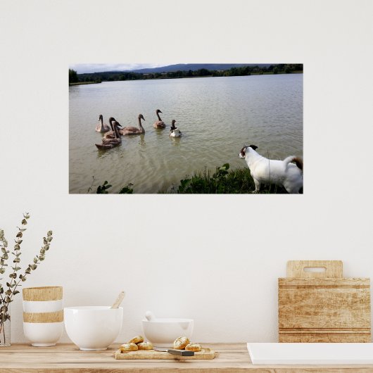 Capo von Oppenheim, Jack Russell Terrier Dog Poster (Keuken)