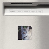 Cappuccino de kat magneet (Insitu (Vaatwasser))