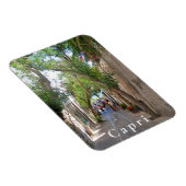 Capri. #5 magneet (Rechterzijde)