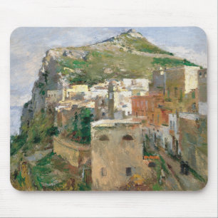 Capri (door Theodore Robinson) Muismat