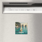 Capri Italy Travel Magneet (Insitu (Vaatwasser))