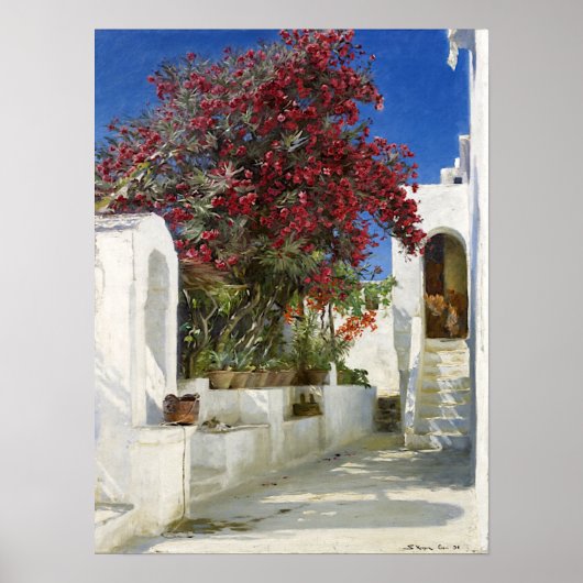 Capri - Oleanders in bloom, Peder Severin Krøyer Poster (Voorkant)