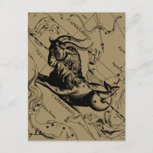 Capricorn Constellation  Engraving Hevelius Briefkaart