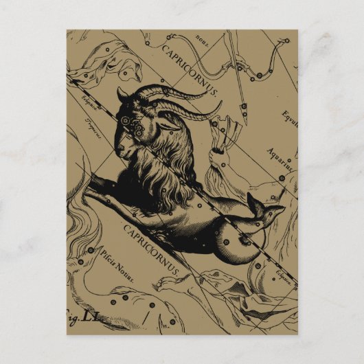 Capricorn Constellation  Engraving Hevelius Briefkaart (Voorkant)