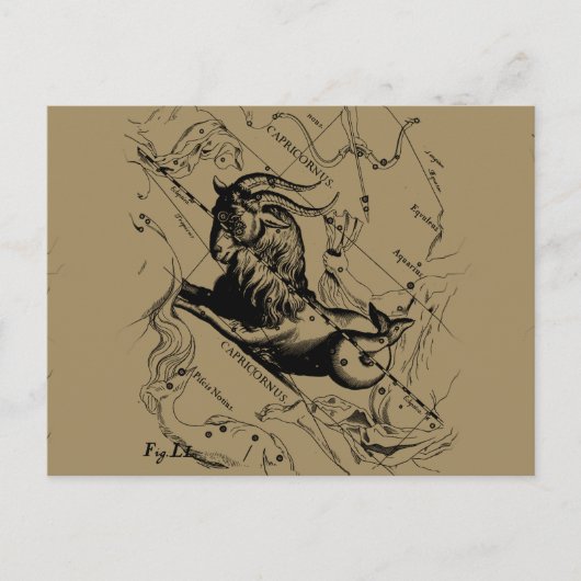 Capricorn Constellation  Engraving Hevelius Briefkaart (Voorkant)