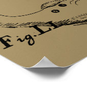 Capricorn Constellation Engraving Hevelius Poster (Hoek)