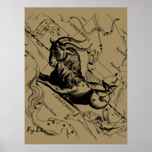 Capricorn Constellation  Engraving Hevelius Poster