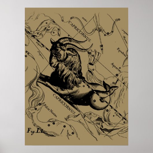 Capricorn Constellation Engraving Hevelius Poster (Voorkant)