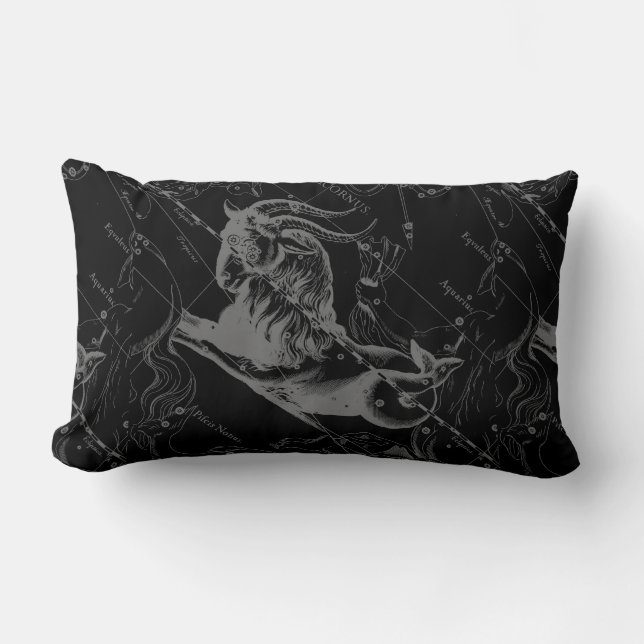 Capricorn Constellation Map  Hevelius 1690 Kussen (Voorkant)