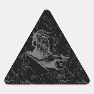 Capricorn Constellation Map Hevelius Engraving Driehoek Sticker