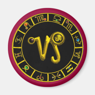 CAPRICORN MAGNEET
