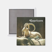 Capricorn Magnet. Magneet (Voorkant / Achterkant)