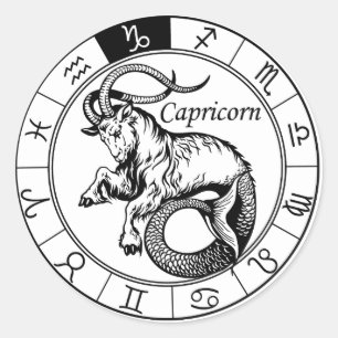 capricorn ronde sticker
