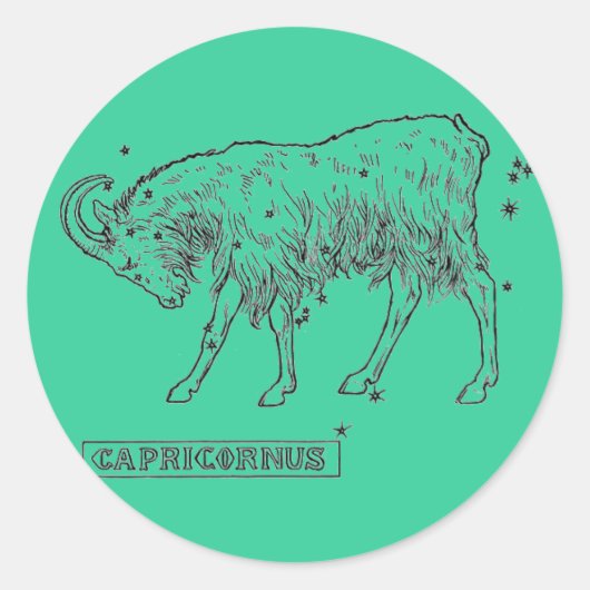 Capricorn Sticker (Voorkant)