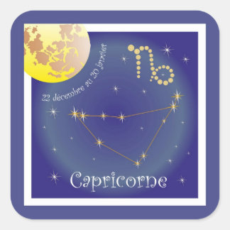 Capricorne 22 décembre au 20 janvier Aufkleber Vierkante Sticker