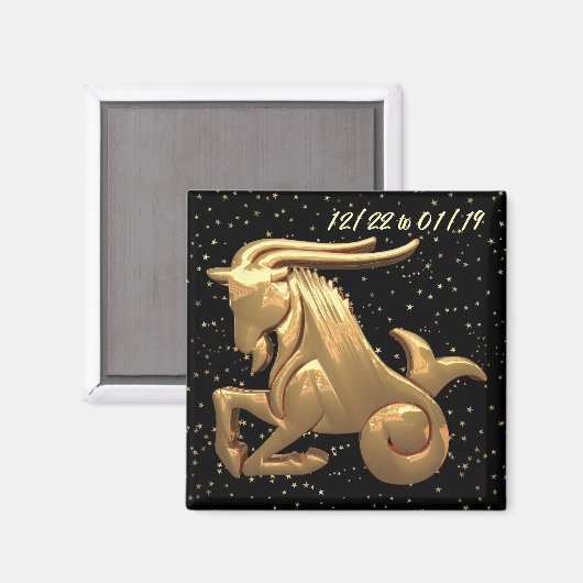 Capricorne Astrologie 2 Magnet (Recto/Verso)
