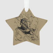 Capricorne Constellation Carte Hevelius circa 1690 (devant)