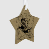 Capricorne Constellation Carte Hevelius circa 1690 (devant)